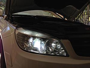 AZN Optics 5W5 Canbus LEDs-2.jpg