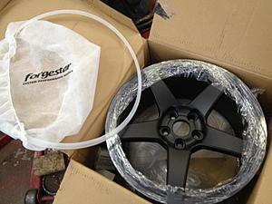 19&quot; Forgestar CF5 for sale, CF Wald style fender for sale-527998_401837106494412_353322899_n.jpg