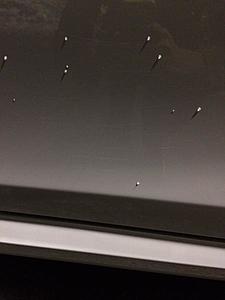Someone hit my car! And then sped off... Help on detailing!?-photo_1.jpg
