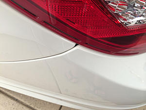 Got bumped into today-image-1288941360.jpg
