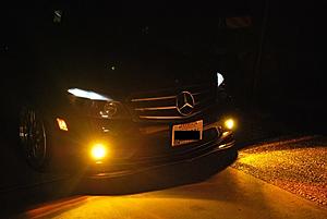 Yellow HID fog lights-dsc_1465.jpg