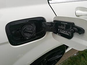 Fuel door seal?-sfxejja.jpg