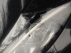 Deer collision, Replacement headlight needed-image.jpeg