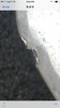 2015 C400 - Chrome Front Lip-closeup.png