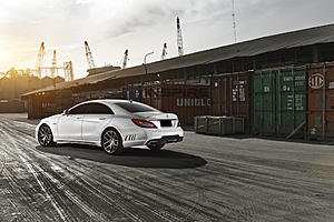 CLS 63 + WALD-waldcls63amg004.jpg