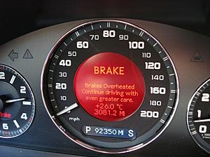 Speedo-dsc03032-640-x-480-.jpg