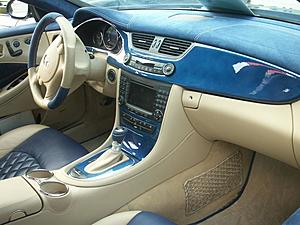 Blue carbon-pict0074.jpg