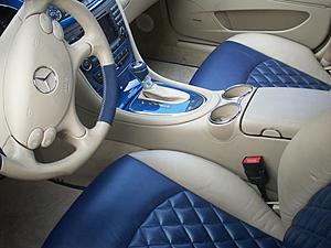 Blue carbon-pict0075.jpg