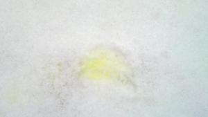 HELP! YELLOW LIQUID LEAK-1.jpg