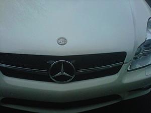CLS Hood badge-img00019-20110219-1733.jpg