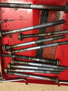 -img_7323_zpspvcckhth.jpg