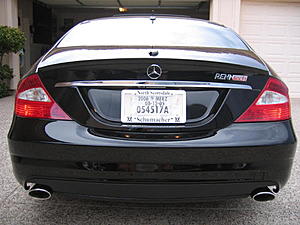 shaven-img_03932.jpg