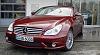 What Color CLS55 are you Guys getting?-amgoce1.jpg