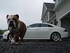 New Pics!!!-dsc00051.jpg