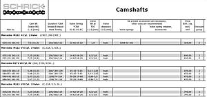 Porting, Polishing, and Cams project-schrick-cams.jpg