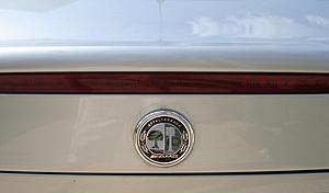 GB: AMG Hood Badge a.ka. &quot;Mario&quot;-badge-005.jpg