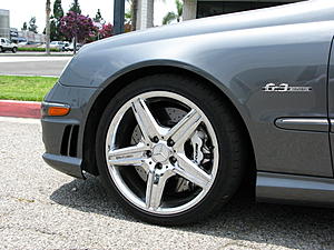 Front bumper options-l-front.jpeg