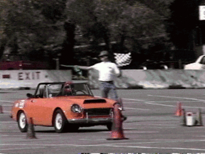 W203 Track Stars!-1966-spl.gif