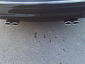 black exhaust tips?-img01066-20100612-1859.jpg