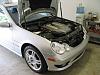 Look what I found in engine bay....-car.jpg