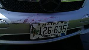 2nd moron bought me a paint job!-100media_imag0341.jpg