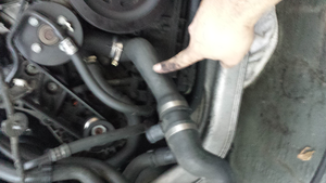 C32 lower radiator hose-forumrunner_20131112_190931.png