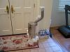 haha guess what i have now~~!!-eisenmann-exhaust-006.jpg