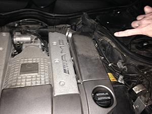 Fuel odor from engine driver side - not from my bad cat like thought...-photo-1.jpg