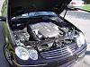 Some pix i took yesterday-dsc05683.jpg