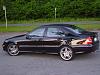 Some new pix i took today-dsc06026.jpg