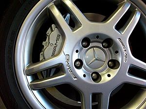 Brake Caliper Paint-100_0006.jpg