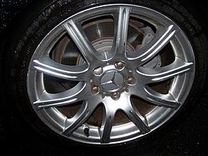 Wanting Rims-102_2873.jpg