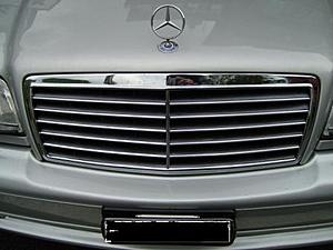 Grill ??????   any others fit?-c43-grill-light.jpg