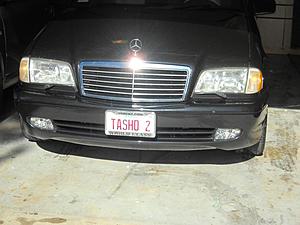New Fogs questions-dscn0654.jpg