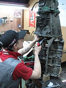 The new project-y_78b43461.jpg