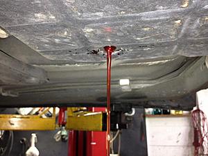 New Brakes-12.jpg