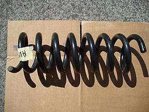 Euro Suspension and Bilsteins-s7004241.jpg