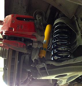 Euro Suspension and Bilsteins-spring-shock2.jpg