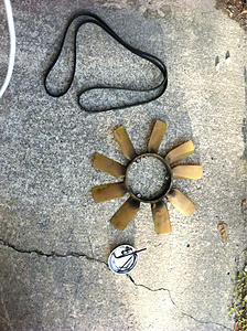Intoduce myself-image-2156211121.jpg