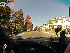 Switching teams for the weekend...-gopr0292-1.jpg
