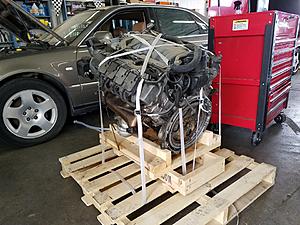 C43 '55' swap thread-12928166_10103214404839115_8562959632769426676_n.jpg