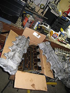 started tear down for paint-img_0004.jpg