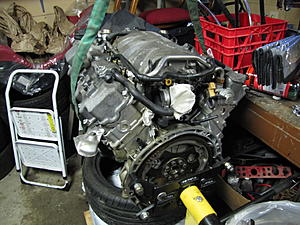 started tear down for paint-img_13752.jpg