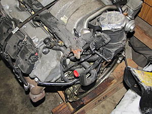 started tear down for paint-img_1327.jpg