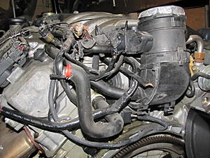 started tear down for paint-img_1328.jpg
