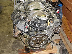 started tear down for paint-img_1331.jpg