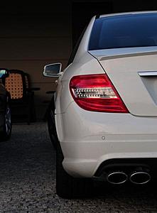 Tinted tails-c63e.jpg