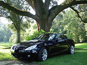 Ok, just bought my C63, do I immediately wax it?-tree3.jpg