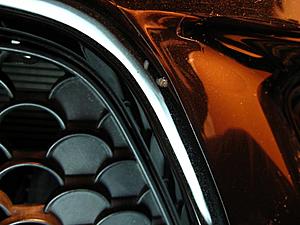 Lets talk about those DAMN rock chips...-img_6507-3.jpg