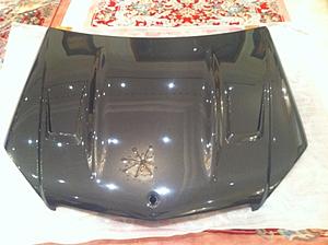 Stone Carbon CF Hood and Trunk from Carl-img_0200.jpg